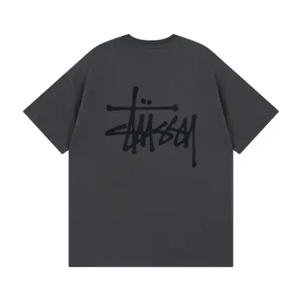 Stussy T-Shirt Grigio