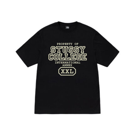 Stussy T-Shirt Propiedad